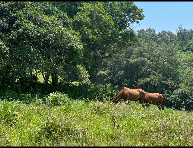 16,870M² VACANT LAND FOR SALE IN SALT ROCK
